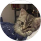 12345 6789 profil fotoğrafı