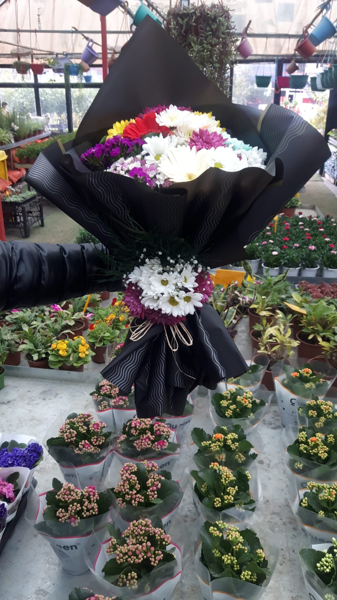 KDZ. EREĞLİ ÇİÇEKÇİLİK İSTANBUL BOTANİK FİDANCILIK PEYZAJ VE RULO ÇİM