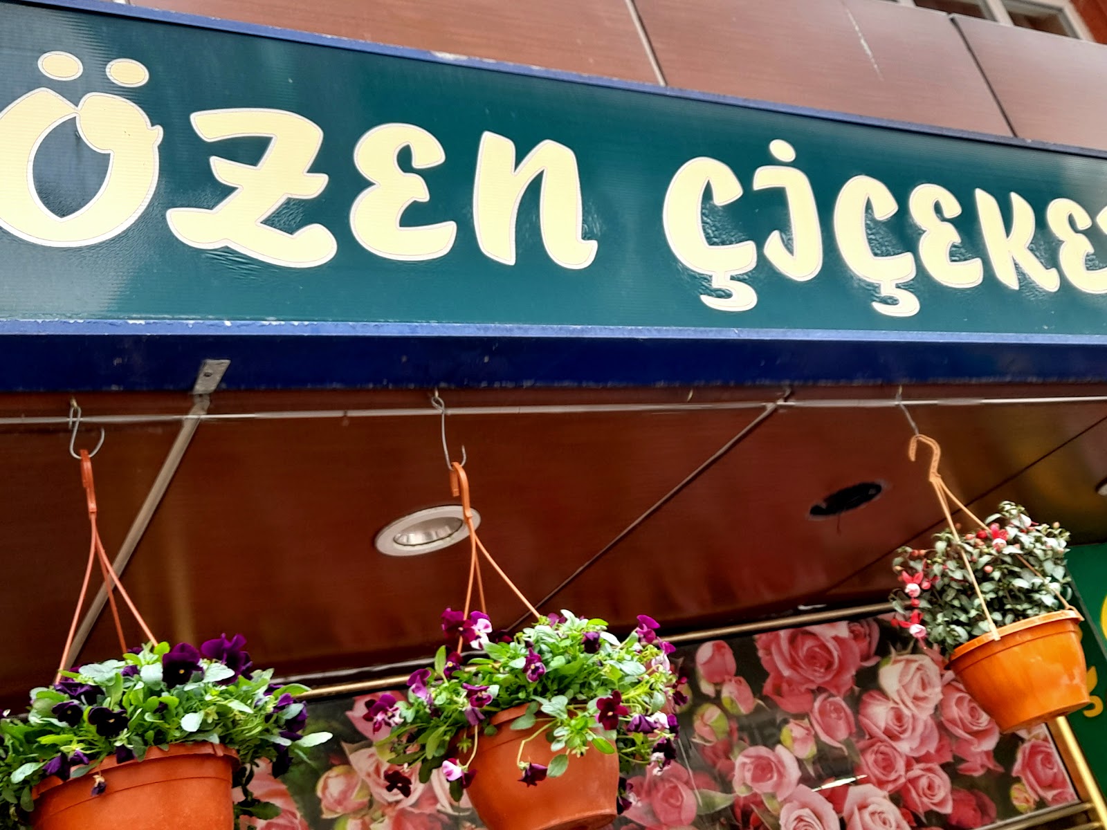 Ozen Cicekevi kır düğünü mekanı — Merkez