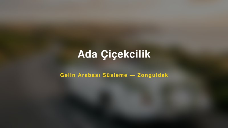 Ada Çiçekcilik Zonguldak Gelin Arabası Süsleme