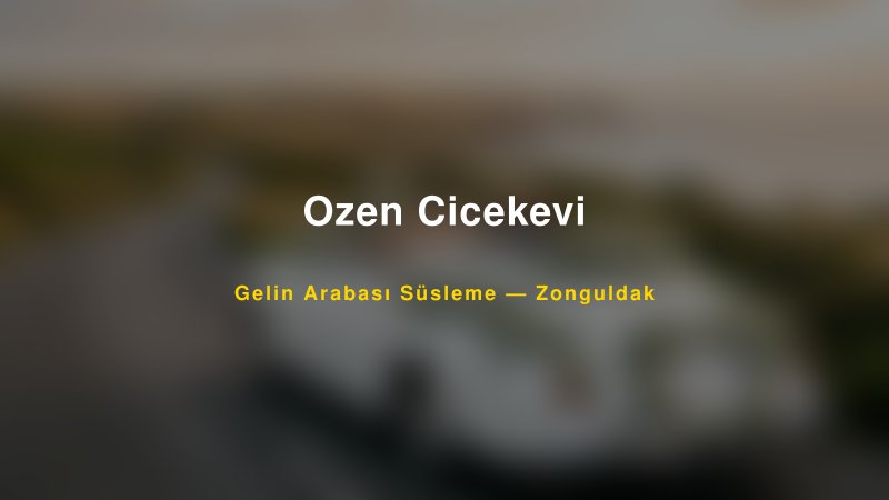 Ozen Cicekevi ile Trend Gelin Arabası Yazıları ve Konseptleri
